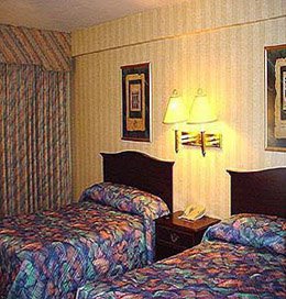 Double bed room