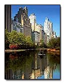 Ritz Carlton Central Park view